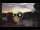 Webcam in Verona, 0.3 mi away