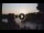 Webcam in Verona, 0.4 mi away