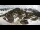 Webcam in Salvan, 13.6 km entfernt