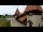Webcam in Saignelégier, 7 mi away