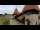 Webcam in Saignelégier, 5.9 km