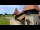 Webcam in Saignelégier, 30.8 km