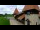 Webcam in Saignelégier, 18 km entfernt