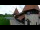 Webcam in Saignelégier, 12.8 km entfernt