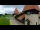 Webcam in Saignelégier, 7.1 mi away