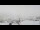 Webcam in Grindelwald, 0.2 mi away