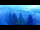 Webcam in Arosa, 4 km