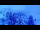 Webcam in Arosa, 1.6 km