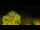 Webcam in Buttes, 21.6 mi away