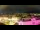 Webcam in Neuchâtel, 7.1 mi away