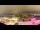 Webcam in Neuchâtel, 19.8 km