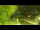 Webcam in Faoug, 5.3 mi away