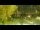 Webcam in Faoug, 13 km