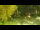 Webcam in Faoug, 7.2 km
