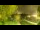 Webcam in Faoug, 4 km