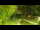 Webcam in Faoug, 10.2 mi away