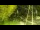 Webcam in Faoug, 16.6 km