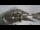 Webcam in Finhaut, 12.6 km entfernt