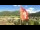 Webcam in Celerina-Schlarigna, 0 km