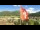 Webcam in Celerina-Schlarigna, 0 km