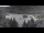 Webcam in Flims, 2.4 km
