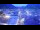 Webcam in Mittenwald, 0.1 mi away
