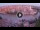 Webcam in Verona, 0.7 mi away