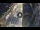 Webcam in Verona, 19.8 km