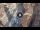 Webcam in Verona, 0.1 km entfernt