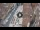 Webcam in Verona, 0.1 mi away