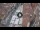 Webcam in Verona, 0.8 km entfernt