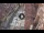 Webcam in Verona, 0.8 km entfernt