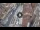 Webcam in Verona, 0.3 mi away