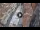 Webcam in Verona, 0.6 mi away
