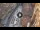 Webcam in Verona, 0.1 km entfernt