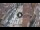 Webcam in Verona, 0.6 mi away