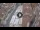 Webcam in Verona, 0.1 km entfernt