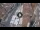 Webcam in Verona, 0.6 mi away
