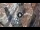 Webcam in Verona, 0.6 km entfernt