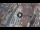 Webcam in Verona, 0 mi away