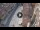 Webcam in Verona, 0.5 km entfernt