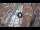Webcam in Verona, 0.3 mi away