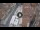 Webcam in Verona, 0.1 mi away