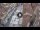 Webcam in Verona, 0 mi away
