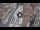 Webcam in Verona, 0.7 mi away