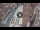Webcam in Verona, 0.3 mi away