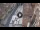Webcam in Verona, 0.6 mi away