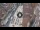 Webcam in Verona, 0.3 mi away