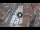 Webcam in Verona, 0.3 mi away