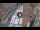 Webcam in Verona, 0.6 mi away